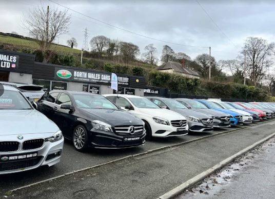 Customer buying a car